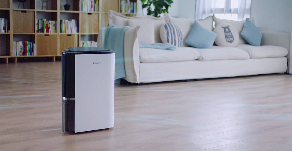 Commercials of Deye Dehumidifier